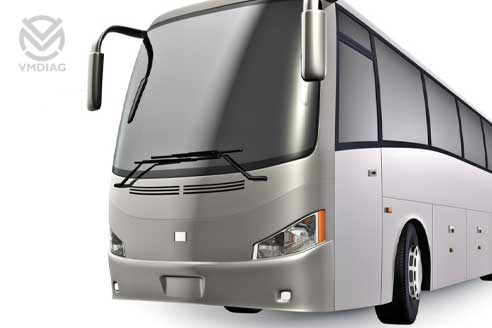 Buses